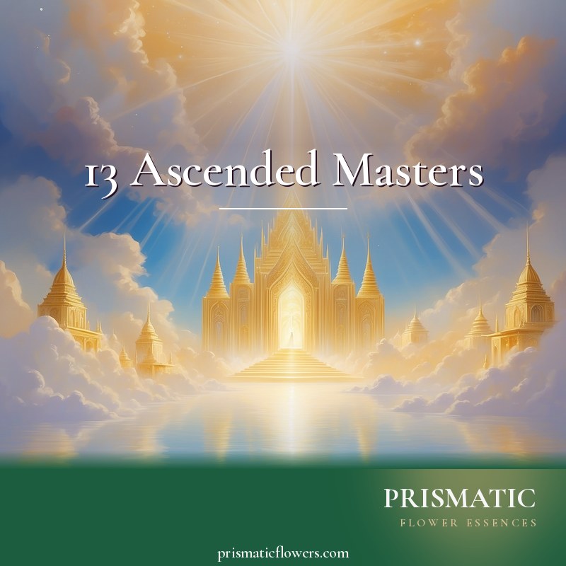 13 Ascended Masters distance Reiki attunement, The collective of thirteen Ascended Masters, including the Buddha, Sanat Kumara (Lord of the World), and Jesus, whose en by Prismatic Flower Essences