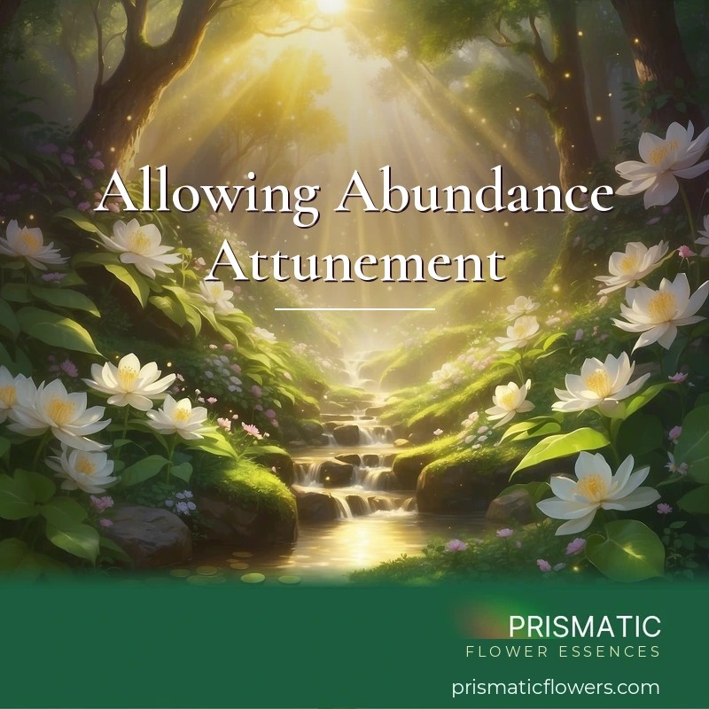 Allowing Abundance Attunement - Prismatic Flower Essences