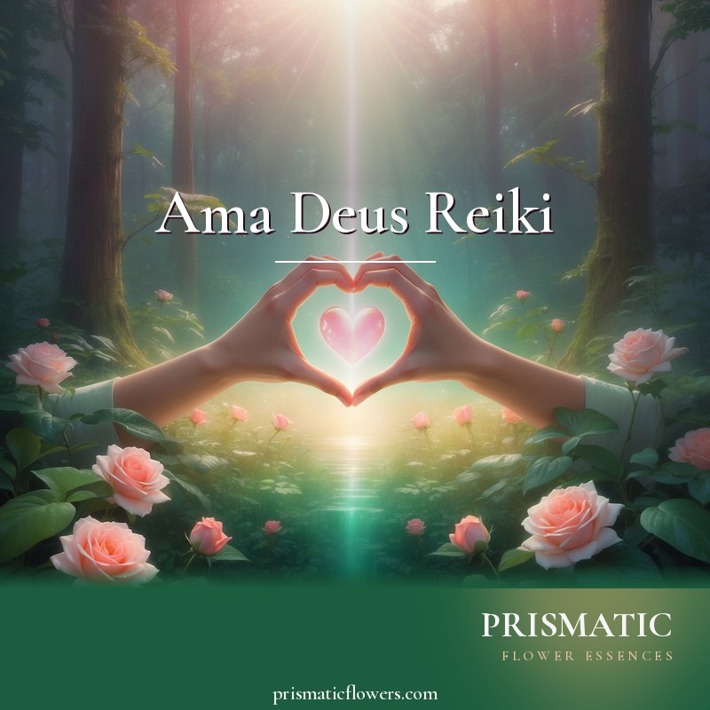 Ama-Deus-Reiki distance Reiki attunement, Heart-centered channeling of Divine love through ancient shamanic symbols (Ama-Deus) by Prismatic Flower Essences