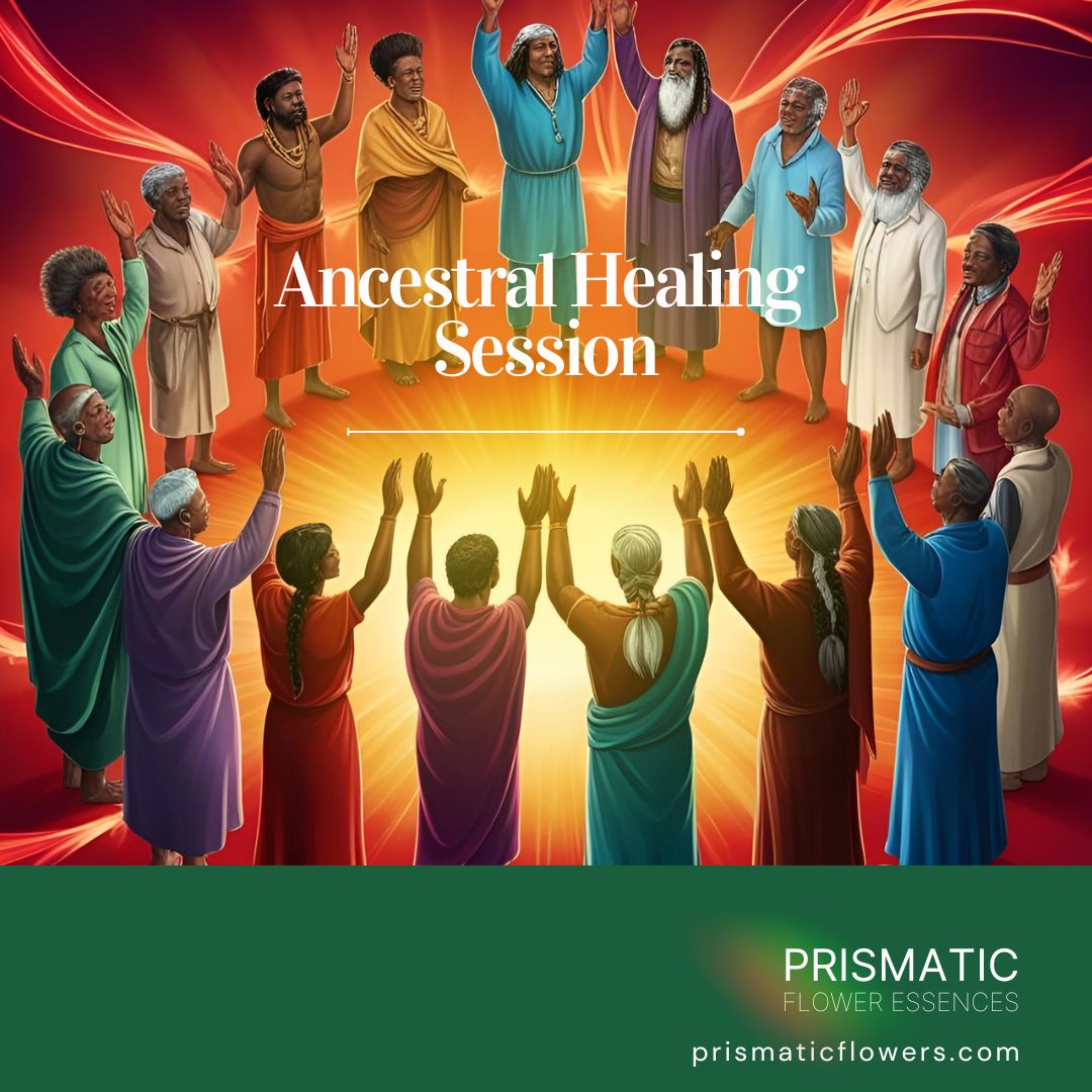 Ancestral Healing Session - Prismatic Flower Essences