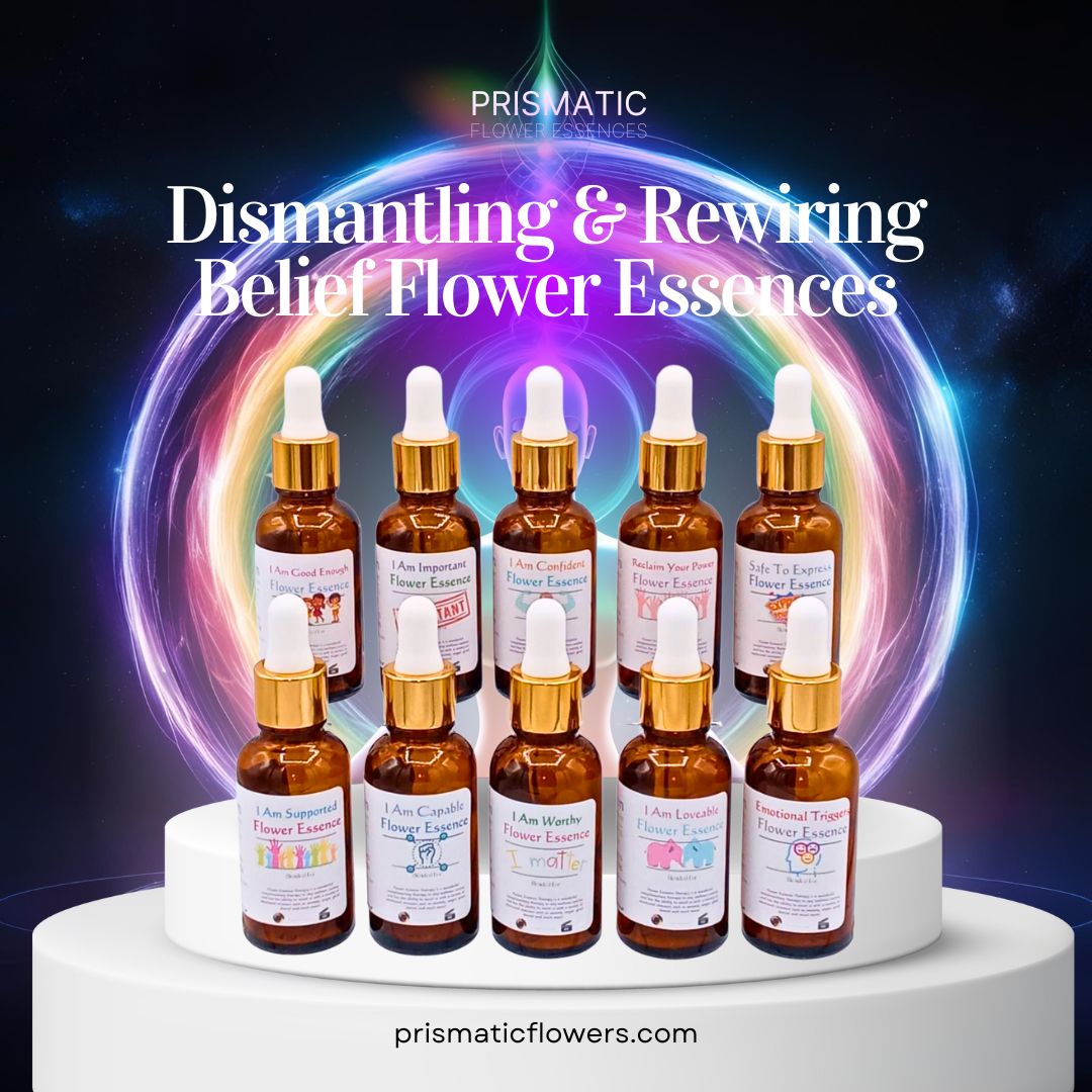 Ascension Healer Dismantling & Rewiring Beliefs Set - Prismatic Flower Essences