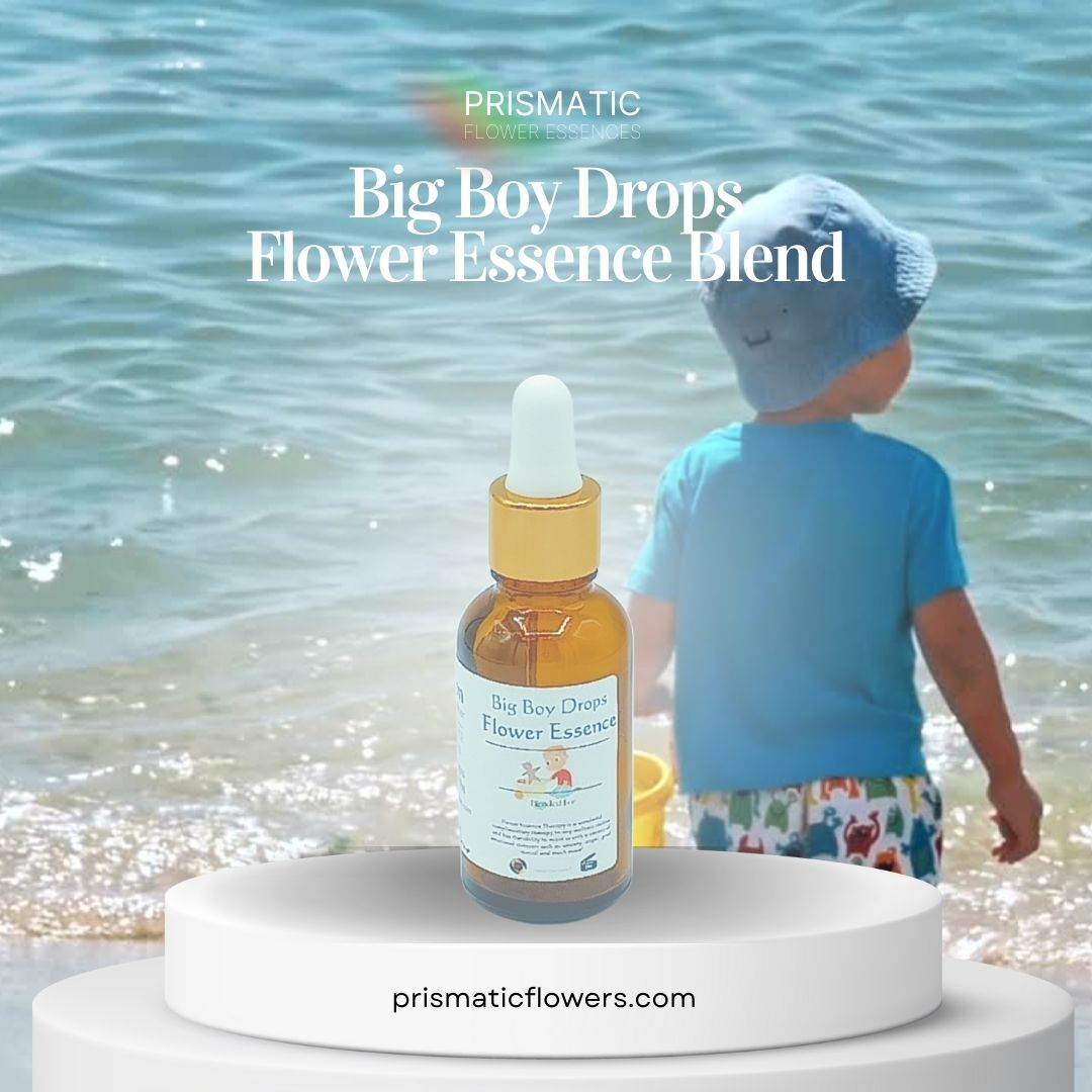 Big Boy Drops Flower Essence Blend - Prismatic Flower Essences