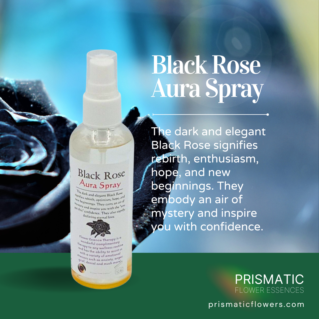Black Rose Aura Spray - Prismatic Flower Essences
