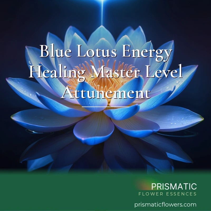 Blue Lotus Energy Healing Master Level Attunement - Prismatic Flower Essences