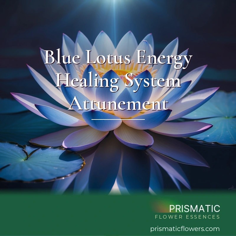 Blue Lotus Energy Healing System Attunement - Prismatic Flower Essences