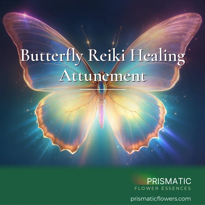 Butterfly Reiki Healing Attunement - Prismatic Flower Essences