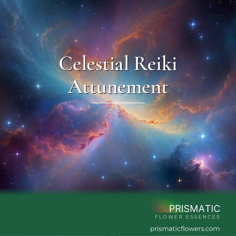 Celestial Reiki Attunement - Prismatic Flower Essences