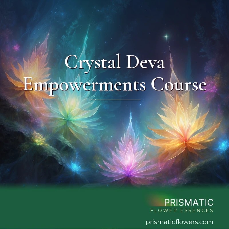 Crystal Deva Empowerments Course - Prismatic Flower Essences