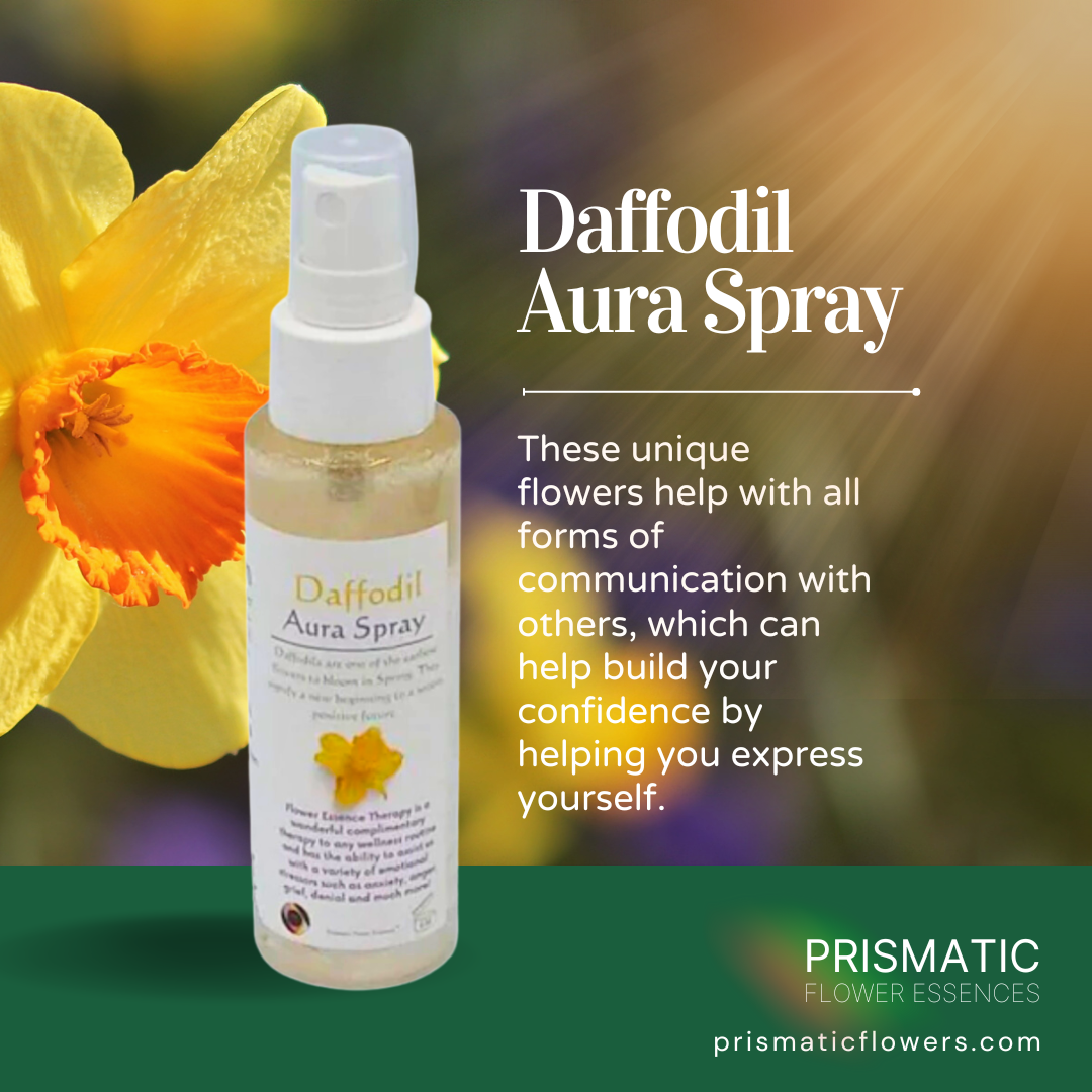 Daffodil Aura Spray - Prismatic Flower Essences