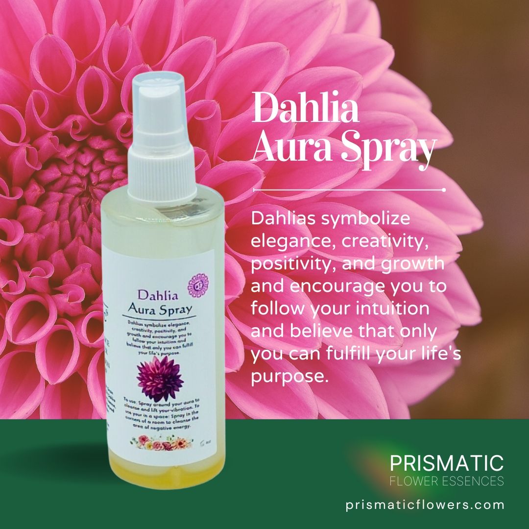 Dahlia Aura Spray - Prismatic Flower Essences