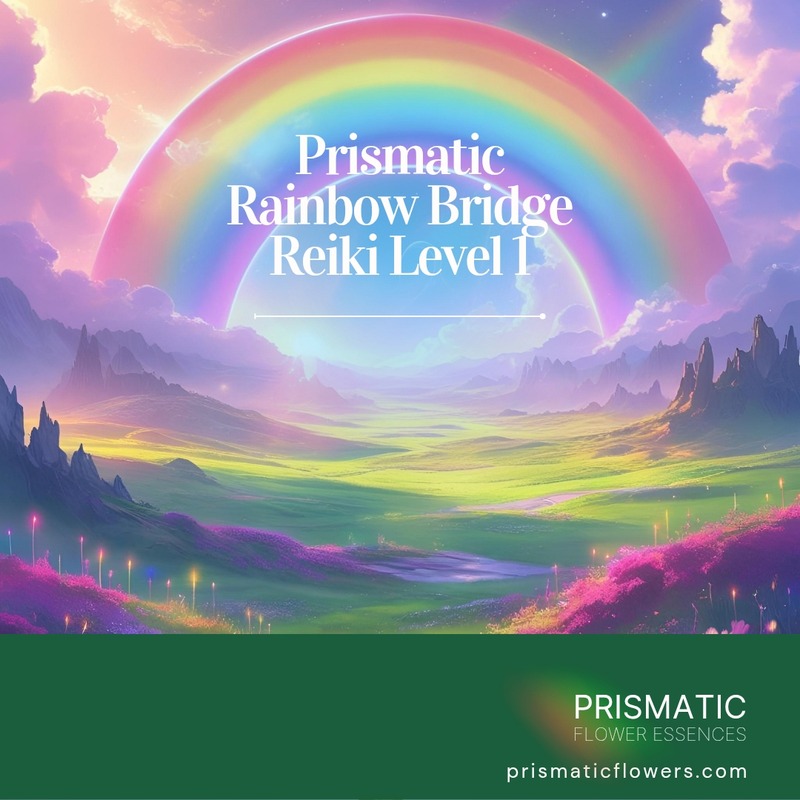 Divine Harmony Reiki Level 1 attunement - woman meditating in soft pink healing light
