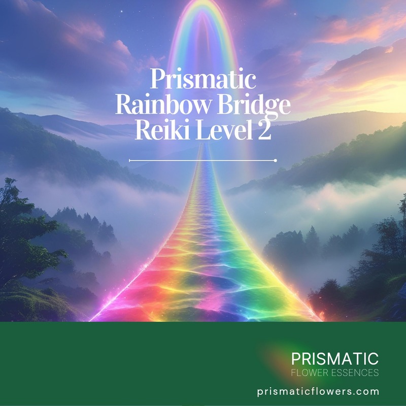Divine Harmony Reiki Level 2 attunement - meditation with glowing golden reiki symbols