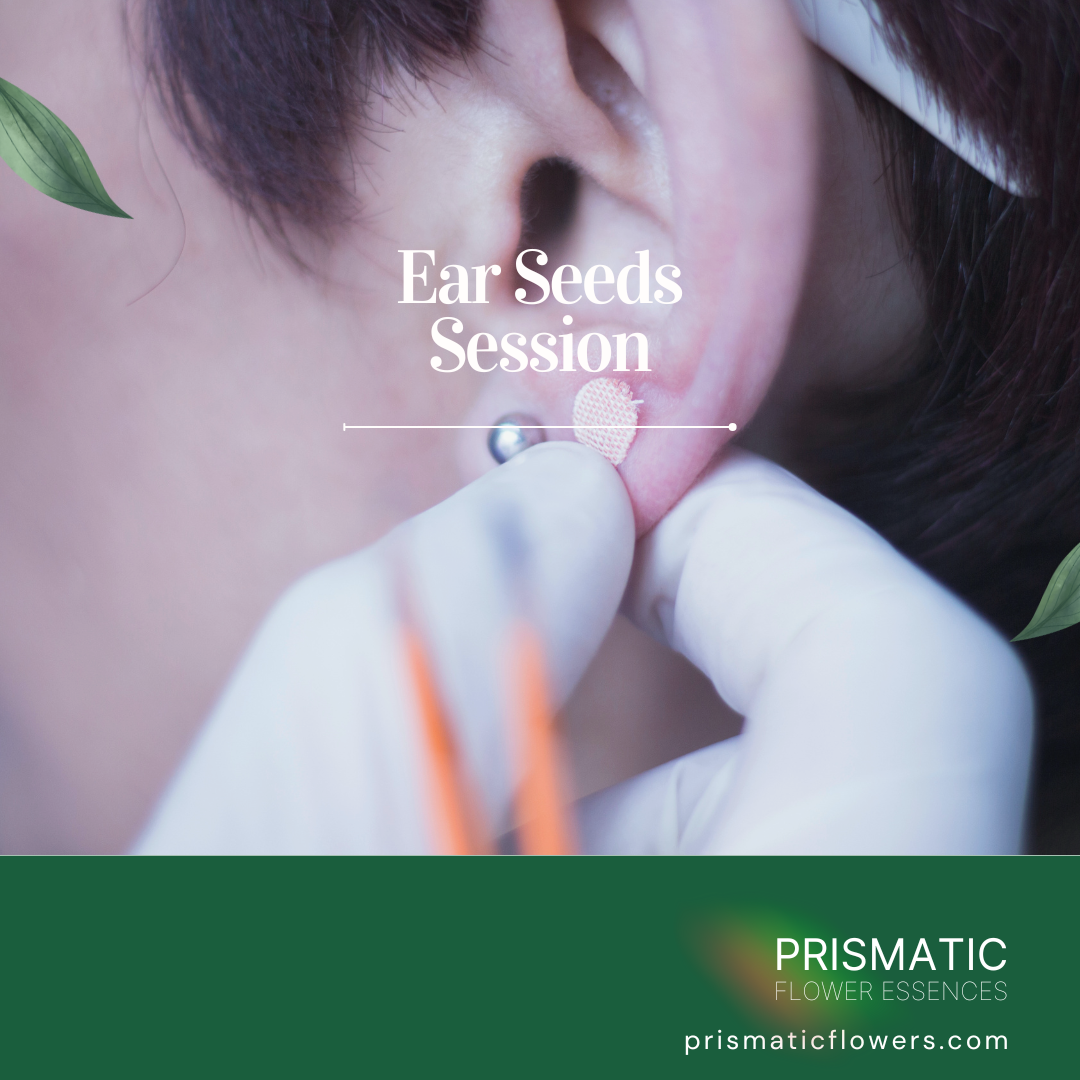 Ear Seeds Session - Prismatic Flower Essences