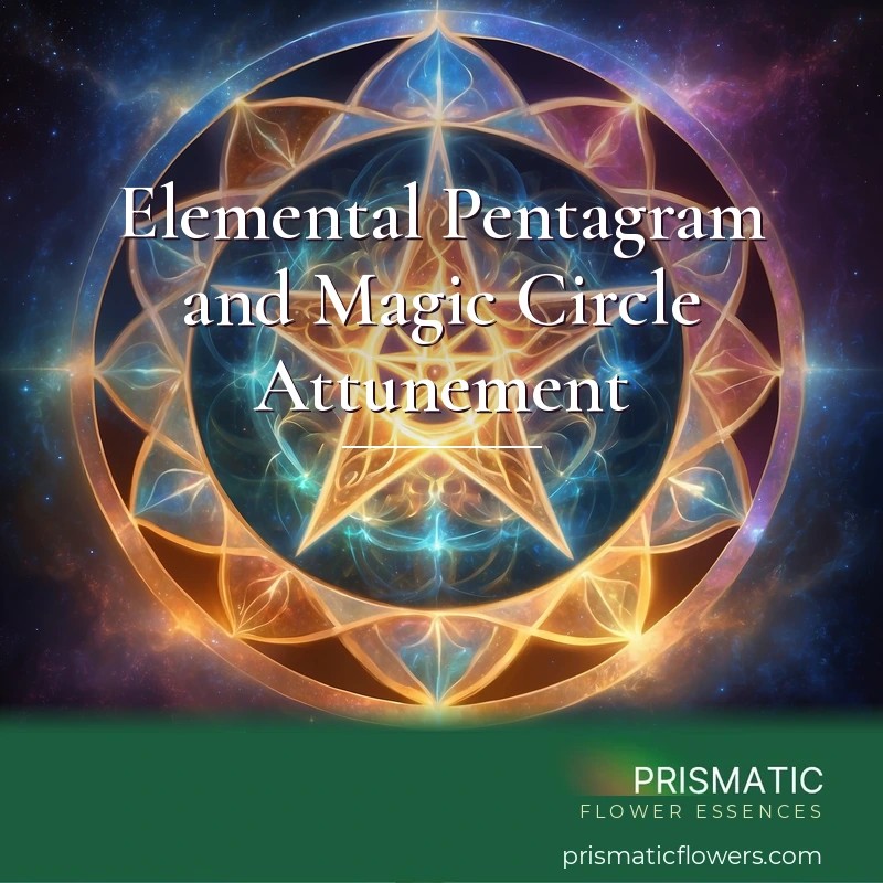 Elemental Pentagram & Magic Circle Energy Healing Attunement Course - Prismatic Flower Essences