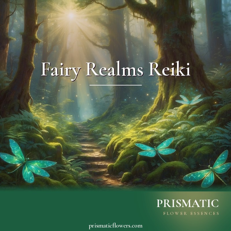 Fairy Realms Reiki distance Reiki attunement, The faery realms and woodland nature-spirits: luminous winged fairies and grassy fairy mounds in an old-growth forest, a by Prismatic Flower Essences