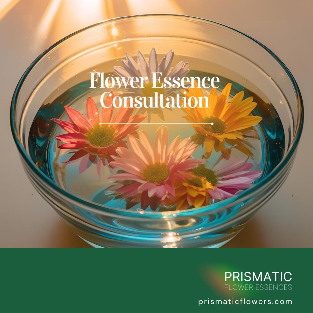 Flower Essence Consultation - Prismatic Flower Essences