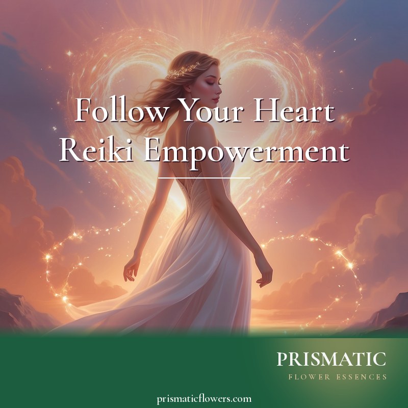 Follow Your Heart Reiki Empowerment distance Reiki attunement, The radiant human heart following its true path; a connection to Spirit and the inner soul for empowerment, courage, and by Prismatic Flower Essences