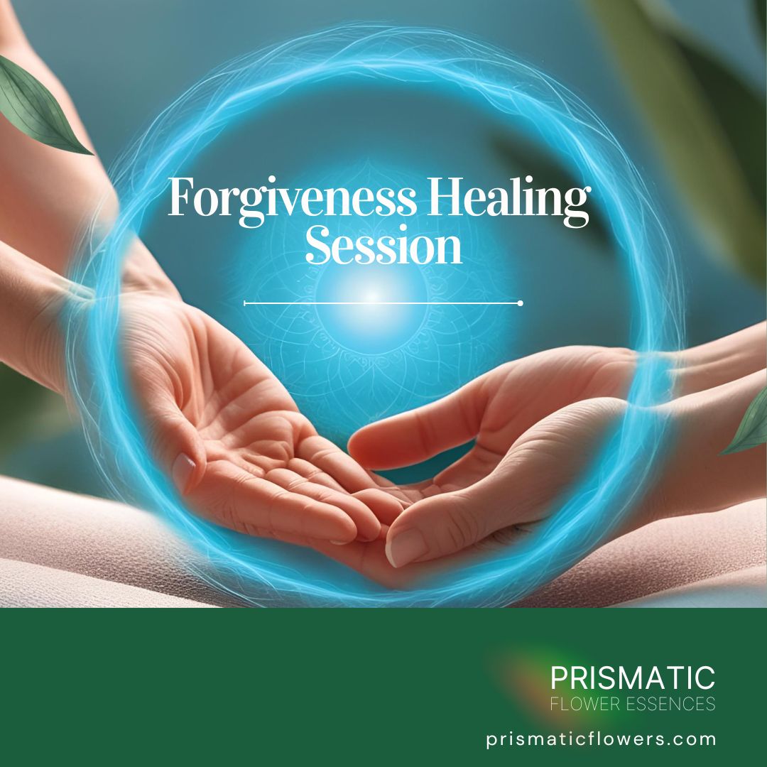 Forgiveness Healing Session - Prismatic Flower Essences