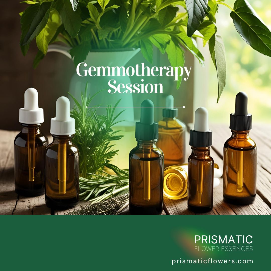 Gemmotherapy Session - Prismatic Flower Essences