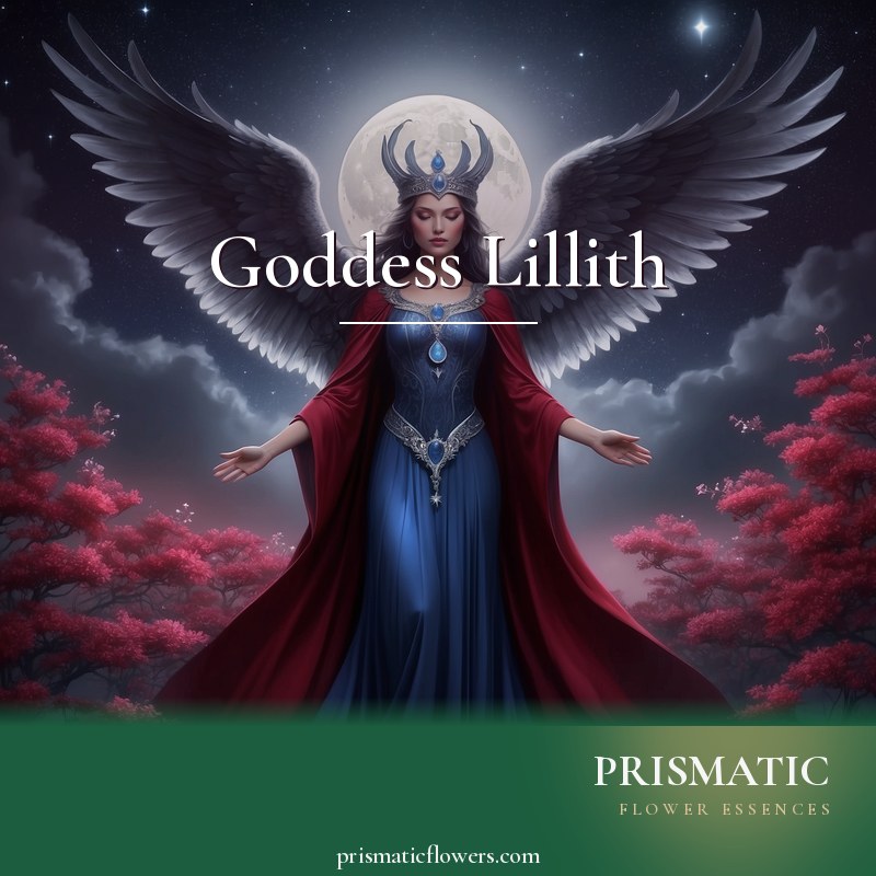 Goddess Lillith distance Reiki attunement, Lilith, the Dark Goddess of transformation, sacred sexuality, and the shadow self by Prismatic Flower Essences