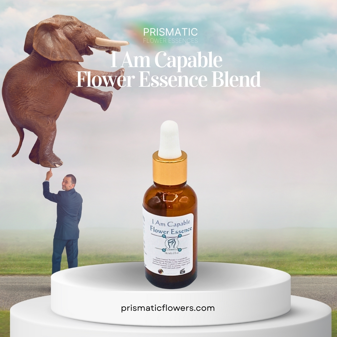 I Am Capable Flower Essence Blend - Prismatic Flower Essences