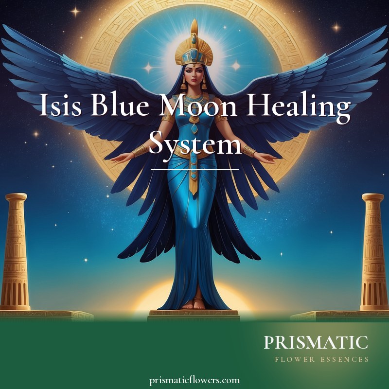 Isis Blue Moon Healing System distance Reiki attunement, Isis, the Egyptian goddess of magic and words of power, honored with her luminous Blue Moon by Prismatic Flower Essences