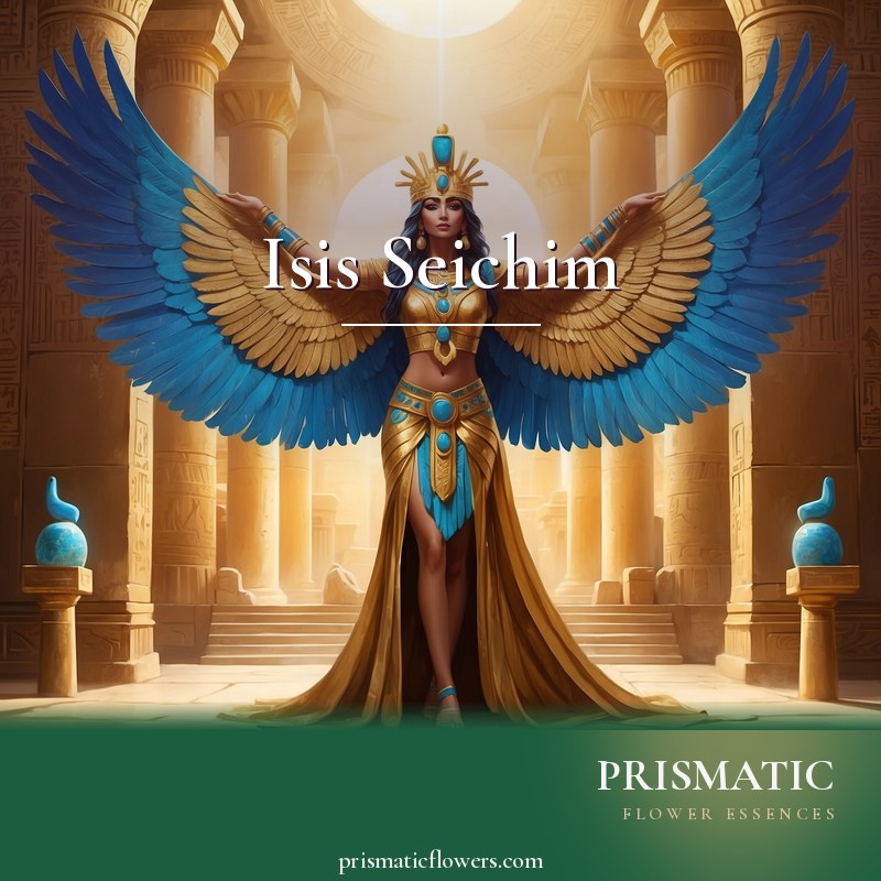 Isis Seichim distance Reiki attunement, The Egyptian goddess Isis and Seichim (SekHem, 'Power of Powers') healing energy by Prismatic Flower Essences