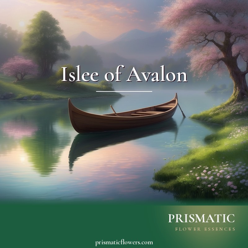 Islee of Avalon distance Reiki attunement, The mystic Isle of Avalon, the Arthurian 'Island of Apples' by Prismatic Flower Essences
