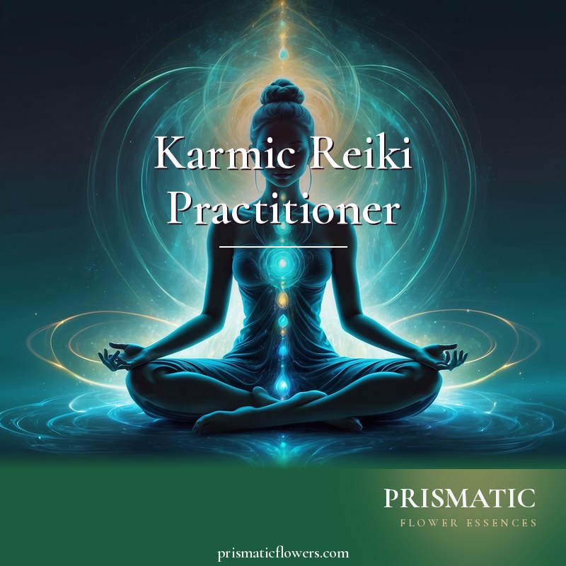 Karmic Reiki Practitioner distance Reiki attunement, Practitioner-level karmic and auric Reiki: the layered biomagnetic aura being cleared of karmic 'energy objects' such as by Prismatic Flower Essences