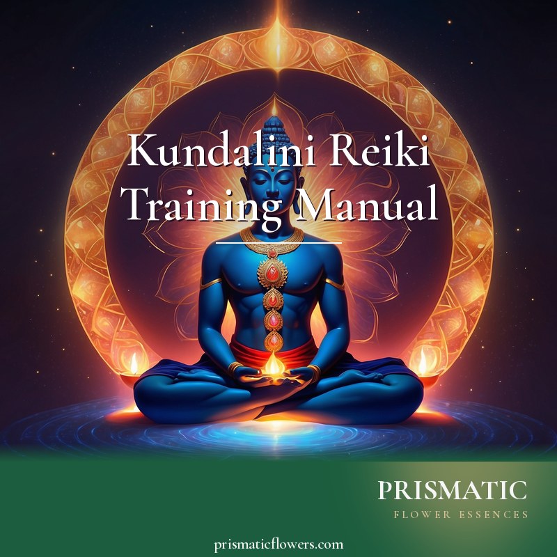 Kundalini Reiki Training Manual distance Reiki attunement, Kundalini, the coiled serpent life-force (Shakti) awakening at the base of the spine and rising through the seven chakra by Prismatic Flower Essences