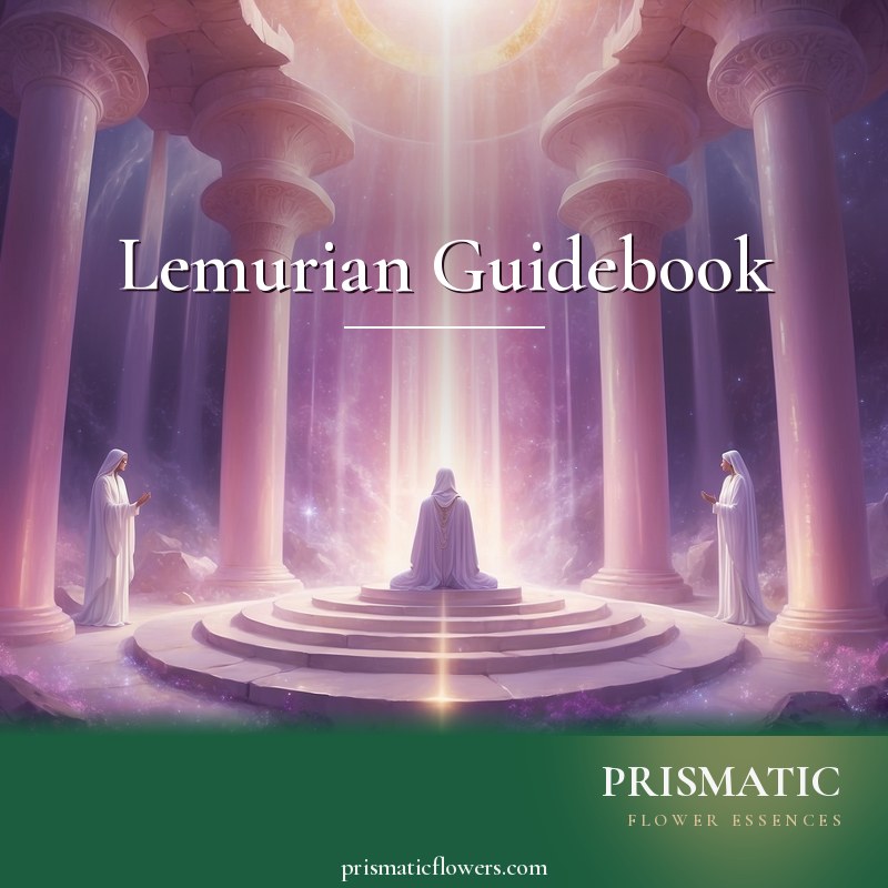 Lemurian Guidebook distance Reiki attunement, the crystalline Lemurian Temple and the loving Lemurian beings of light, entered by a facilitator for the Lemurian Templ by Prismatic Flower Essences