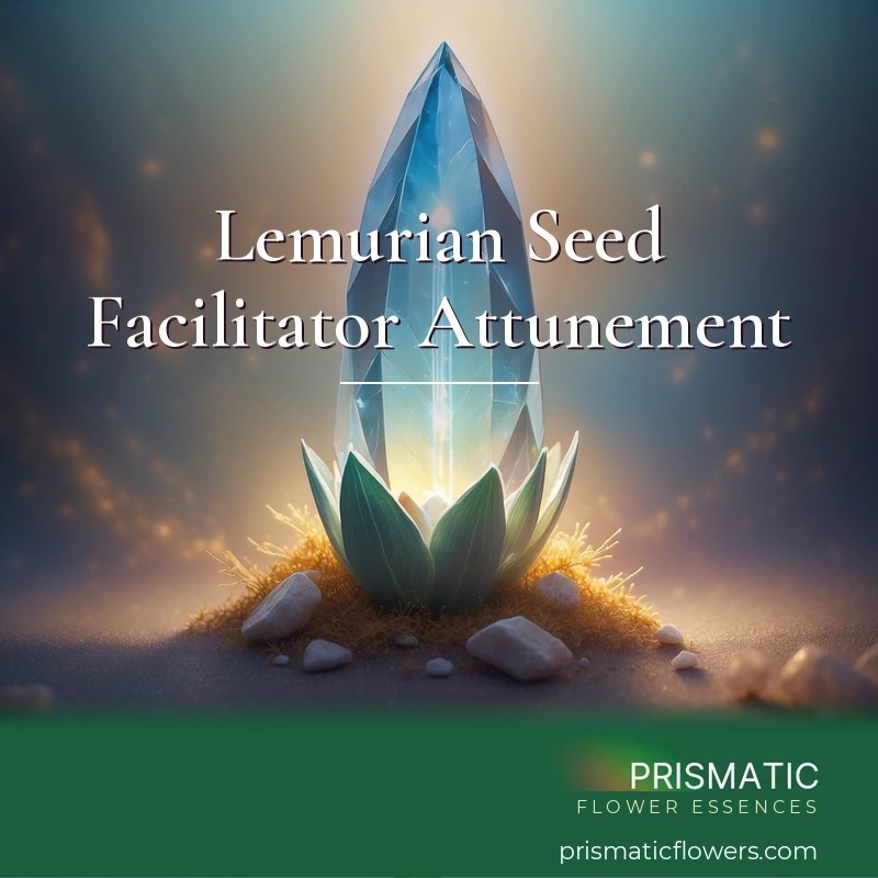 Lemurian Seed Facilitator Attunement - Prismatic Flower Essences