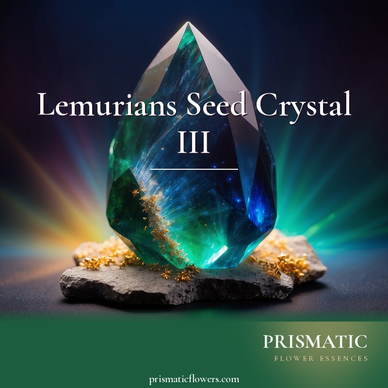 Lemurians Seed Crystal III distance Reiki attunement, the Lemurian seed crystals as sacred tools, chiefly the green Lemurian seed crystal and the golden Lemurian synergy sphe by Prismatic Flower Essences