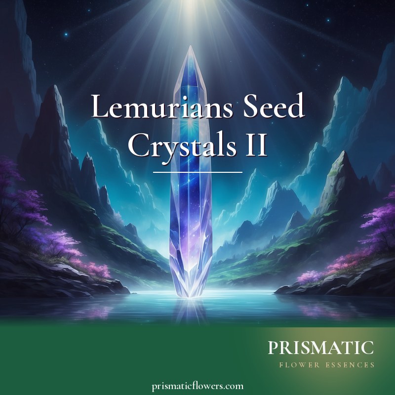 Lemurians Seed Crystals II distance Reiki attunement, The second level of Lemurian seed crystals -- striated quartz radiating a third-eye beam and connecting to the Higher Se by Prismatic Flower Essences