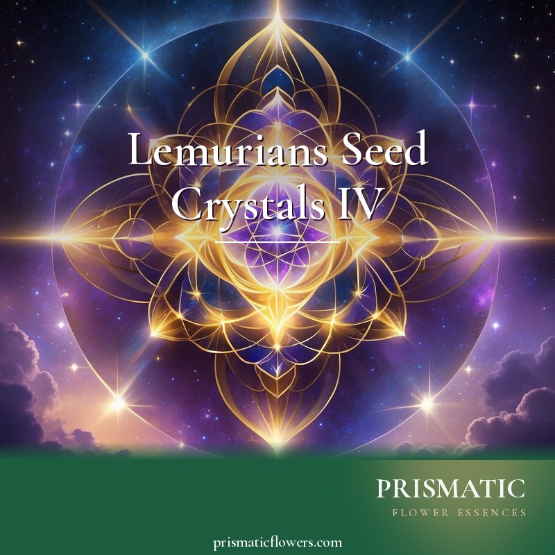 Lemurians Seed Crystals IV distance Reiki attunement, The fifth-dimensional Lemurian symbols -- the golden Merkabah light-vehicle, interlocking tetrahedra opening into the Fl by Prismatic Flower Essences