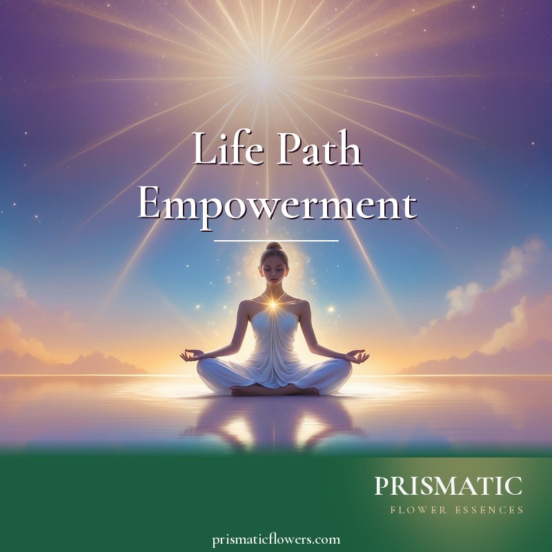 Life Path Empowerment distance Reiki attunement, the eight-point star symbol drawn in straight-line style, associated with Spirit and the Angels, used to connect with on by Prismatic Flower Essences