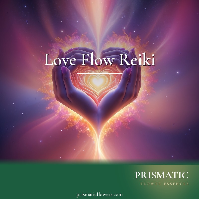Love Flow Reiki distance Reiki attunement, the flowing energy of pure, sincere, unconditional love connecting the heart to spirit, a stream of rose light that rais by Prismatic Flower Essences