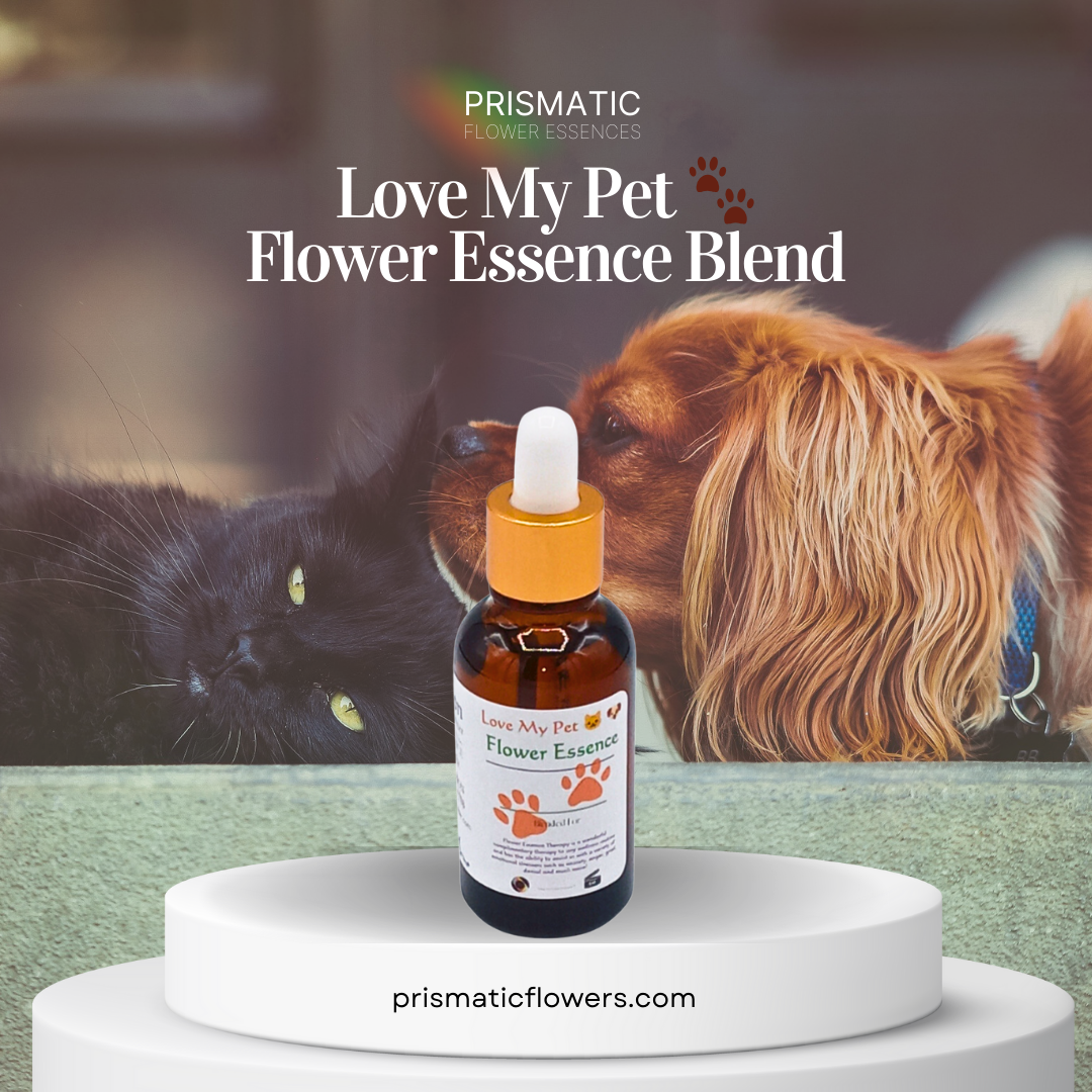 Love My Pet Flower Essence Blend - Prismatic Flower Essences