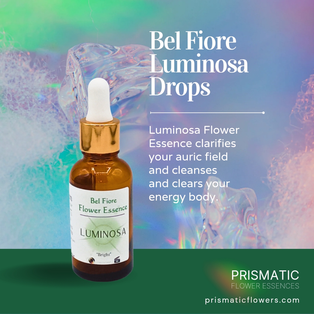 Luminosa Drops - Prismatic Flower Essences