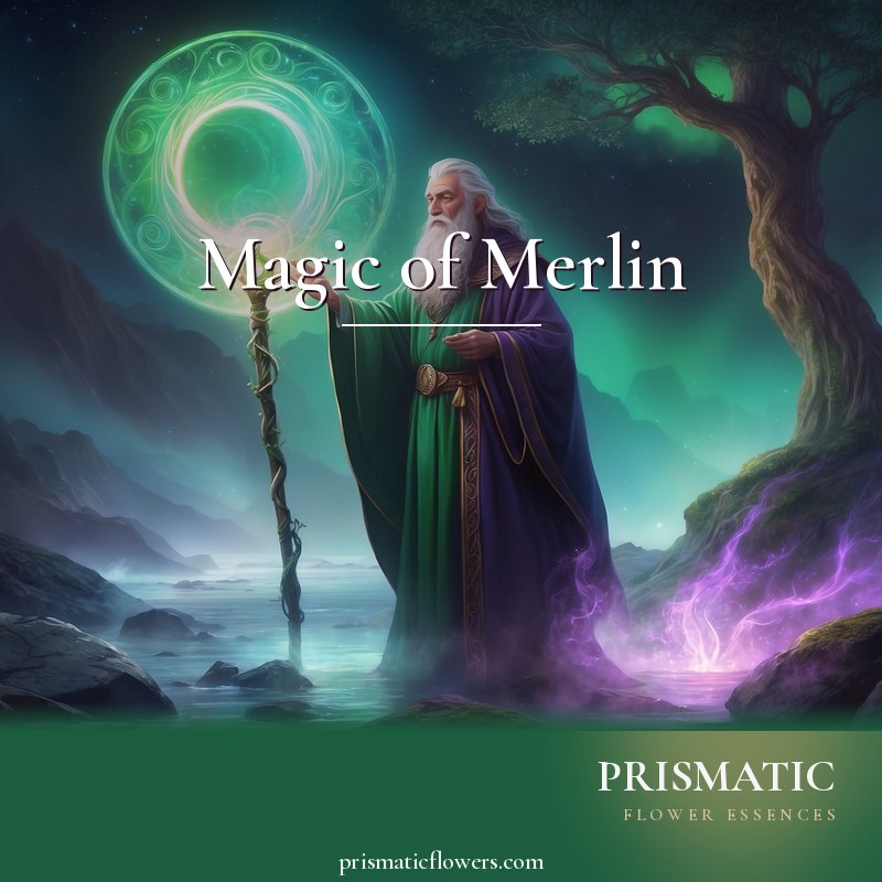 Magic of Merlin distance Reiki attunement, Merlin the wizard of Avalon and the five sacred elements by Prismatic Flower Essences