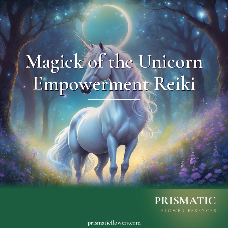 Magick of the Unicorn Empowerment Reiki distance Reiki attunement, The spirit unicorn radiant with showering spirit light by Prismatic Flower Essences