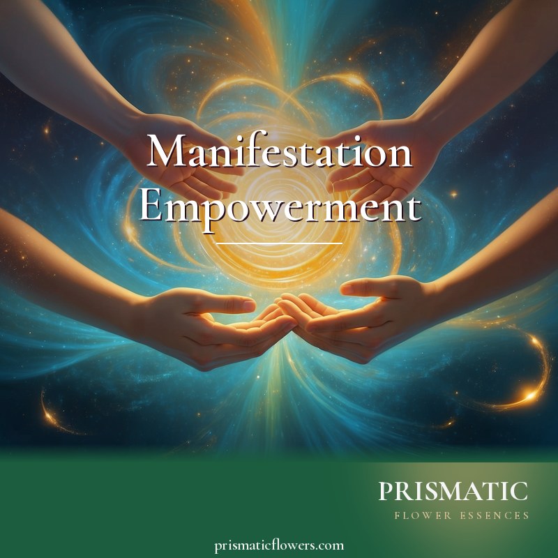 Manifestation Empowerment distance Reiki attunement, Manifestation energy drawing desires into physical reality by Prismatic Flower Essences