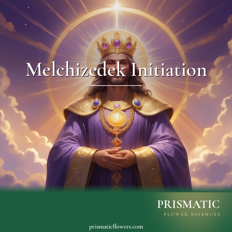 Melchizedek Initiation distance Reiki attunement, Melchizedek, priest-king and ascended master of the Order of Melchizedek by Prismatic Flower Essences