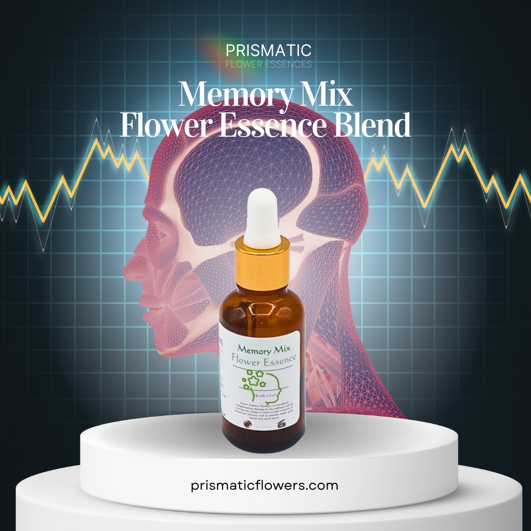 Memory Mix Flower Essence Blend - Prismatic Flower Essences