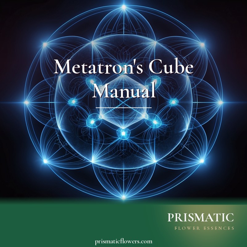 Metatron's Cube Manual distance Reiki attunement, Metatron's Cube, the sacred-geometry figure of thirteen circles containing the five Platonic solids by Prismatic Flower Essences