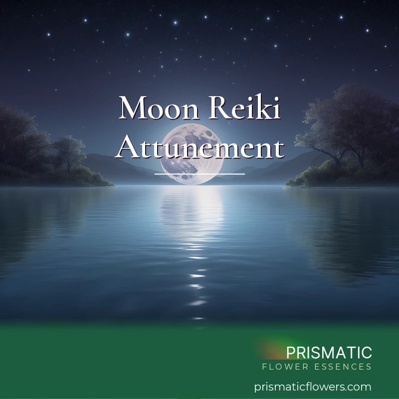Moon Reiki Attunement - Prismatic Flower Essences
