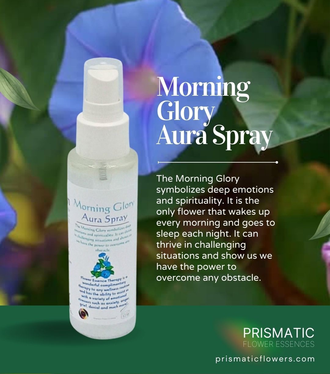 Morning Glory Aura Spray - Prismatic Flower Essences