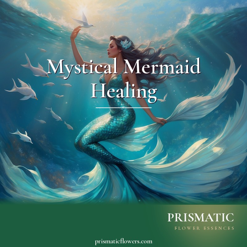 Mystical Mermaid Healing distance Reiki attunement, Mermaid sea goddesses (Amphitrite, Atargatis, Mami Wata, Sedna) by Prismatic Flower Essences