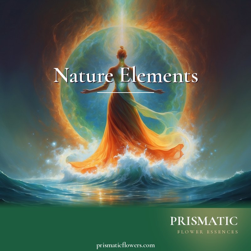 Nature Elements distance Reiki attunement, the four classical nature elements, Earth, Water, Fire, and Air, each linked to a chakra, that build and empower the sub by Prismatic Flower Essences