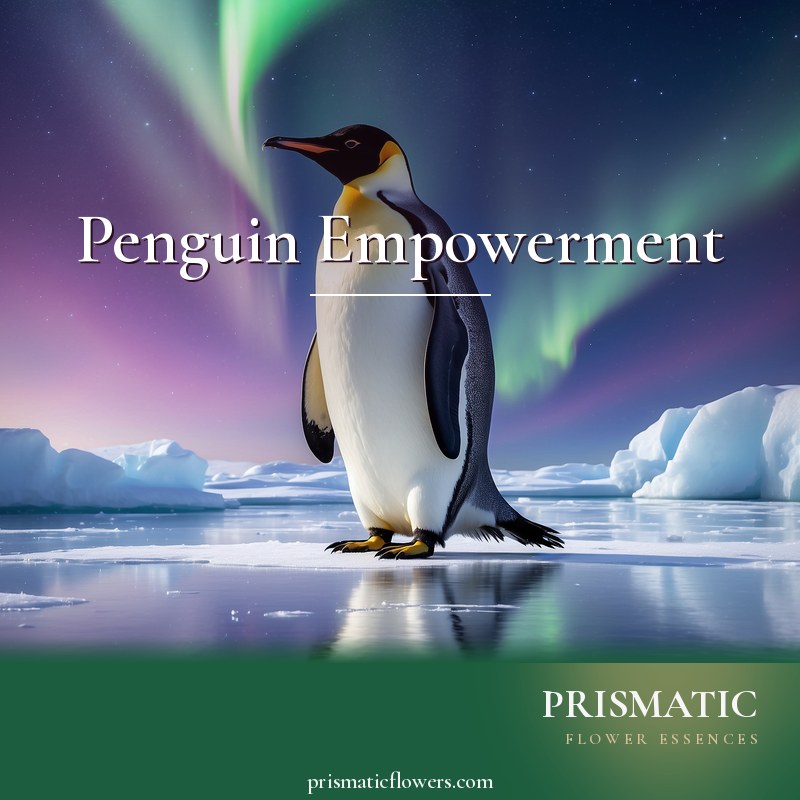 Penguin Empowerment distance Reiki attunement, Penguin spirit animal / power animal (Emperor penguin totem) by Prismatic Flower Essences